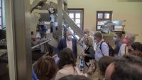 008-OL-EVE_OLIVE_MILL